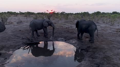 Aerial-view-of-three-elephants-at-sunset-drinking-infront-of-the-underground-photography-hide-at-Hyena-Pan,-Khwai-Private-Reserve,-Botswana
