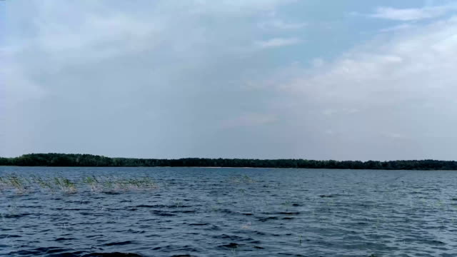 Ola-en-el-lago-con-la-gaviota-de-vuelo