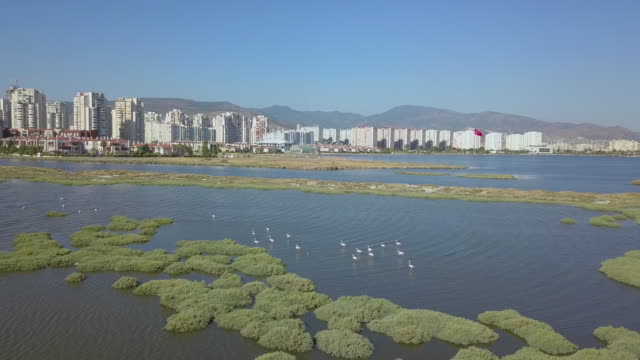 Izmir-Bucht,-Flamingo,-Drohne,-Meer