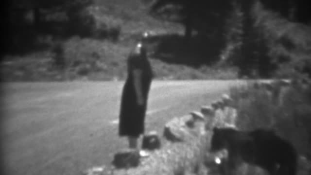1937:-Women-hand-feeding-wild-black-bear-animal-roadside-closeup.