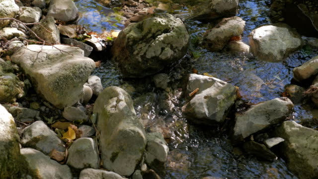 Creek-fließenden-über-die-Felsen