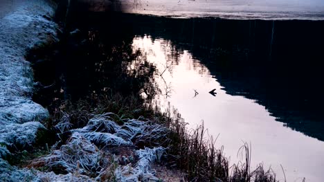 Frozen-lake-and-ducks-sunset,-slowmotion