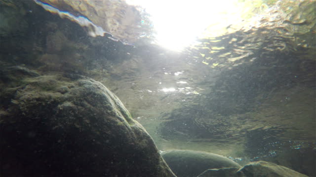 Interior-view-of-a-river-with-big-stone-and-water-particles-passing