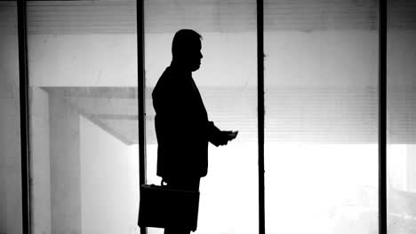Silhouette-of-asian-business