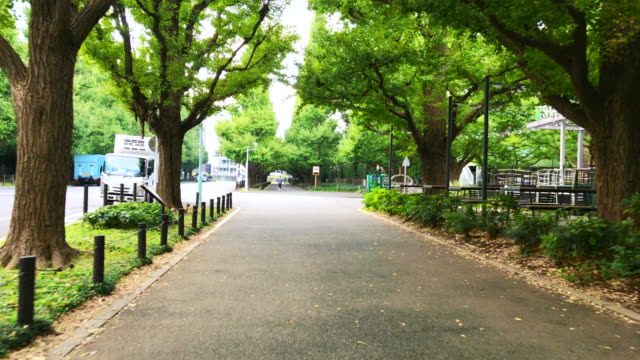 Calle-de-Tokio