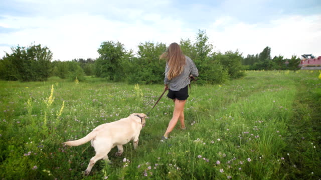charming-young-woman-and-white-labrador-are-running-in-a-field-in-summer-evening-near-cottages-in-countryside