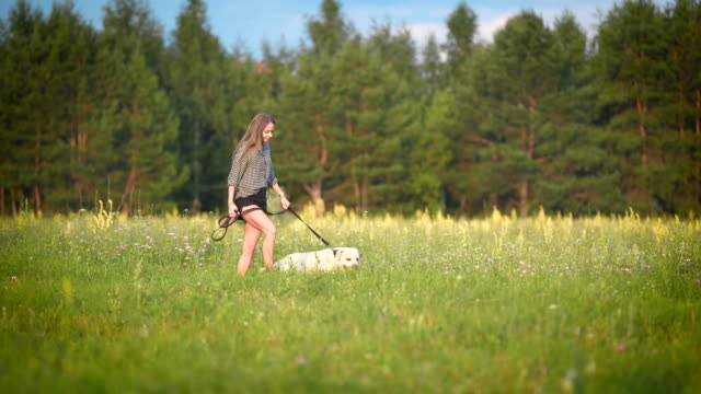 white-labrador-is-walking-on-a-leash-with-young-slim-owner-near-forest-in-sunny-weather-in-summer-day