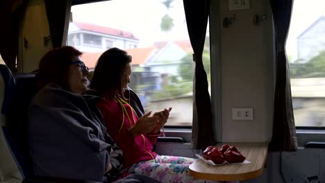 Women-are-sitting-on-the-train.-On-the-table-lay-Malayan-apples