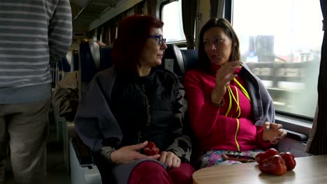 Frauen-reden-beim-Sitzen-auf-dem-Zug.-Der-Mann-geht-auf-der-Bahn-tambour