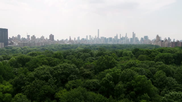 Central-Park-Luft-steigt-über-Bäume-bis-zum-Wolkenkratzer-in-Manhattan-New-York-City