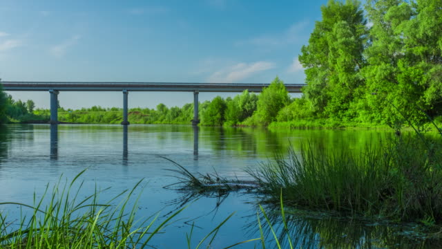 green-trees-forest-at-the-river-bridge-cars-motion-timelapse