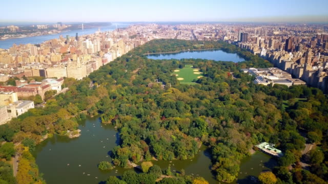 Aerial-view-Central-Park-in-a-sunny-day-4K