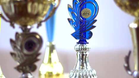 Deportes-trofeos-o-premios-Bsiness