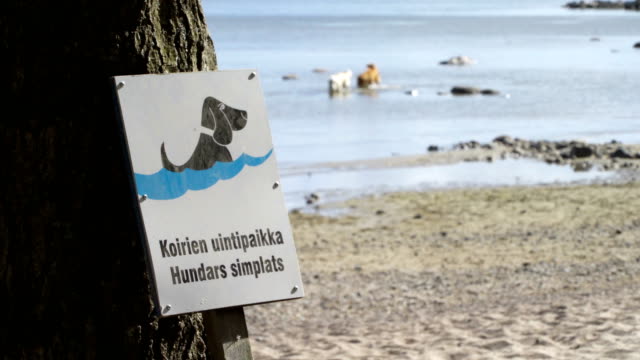 The-sign-of-the-dog-beach.-A-special-beach-for-swimming-dogs.