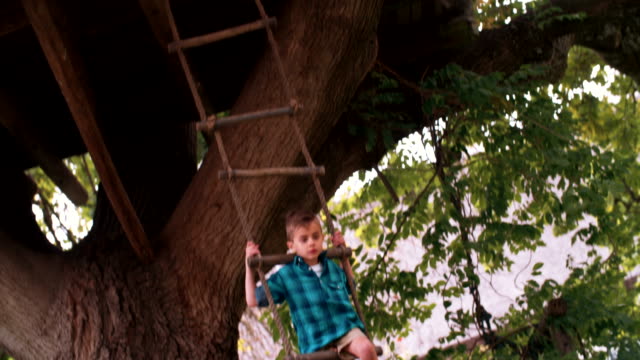 mixed-race-Group-of-children-on-rope-ladder-in-tree