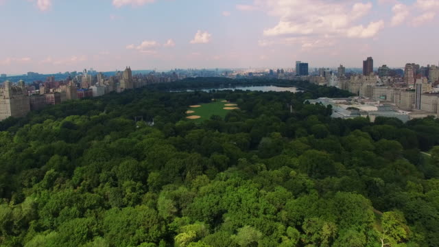 Flying-Towards-Uptown-From-Central-Park