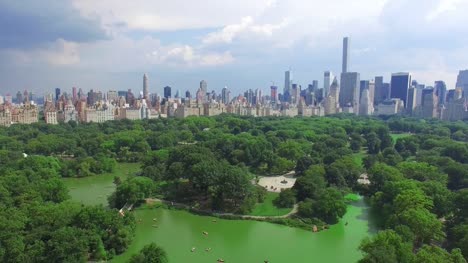 Flyover-Algae-In-Pond-At-Central-Park
