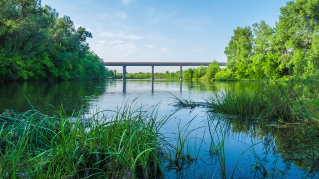 the-river-flows-under-the-bridge-a-sunny-summer-day-nature-tour-timelapse