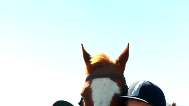 Geschwister-berühren-das-braune-Pferd-auf-der-Ranch-an-einem-sonnigen-Tag-4k