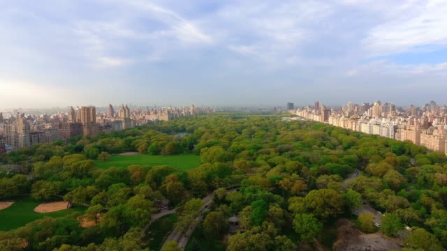 Central-Park-in-New-York-/-Aerial