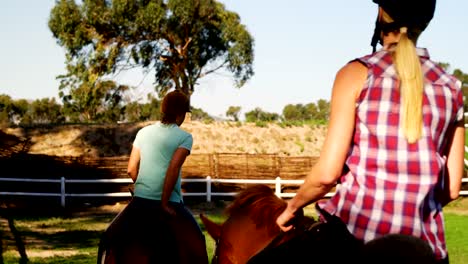 Amigos-de-caballo-en-el-Rancho-4k