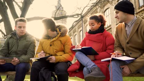 Vier-Studenten-haben-eine-Diskussion-sitzen-im-Park-in-der-Nähe-campus