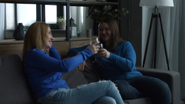 Cheerful-female-friends-toasting-wine-glasses-on-sofa