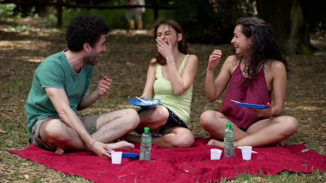 Gruppe-der-glückliche-Junge-Freunde-genießen-Picknick