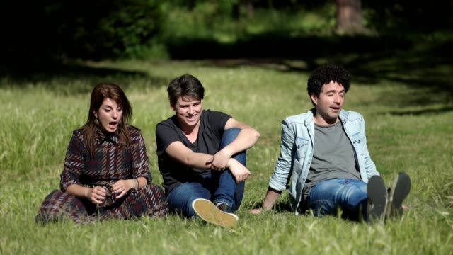Gruppe-von-Freunden-entspannen-In-The-Park-auf-Green-Grass-Having-Fun