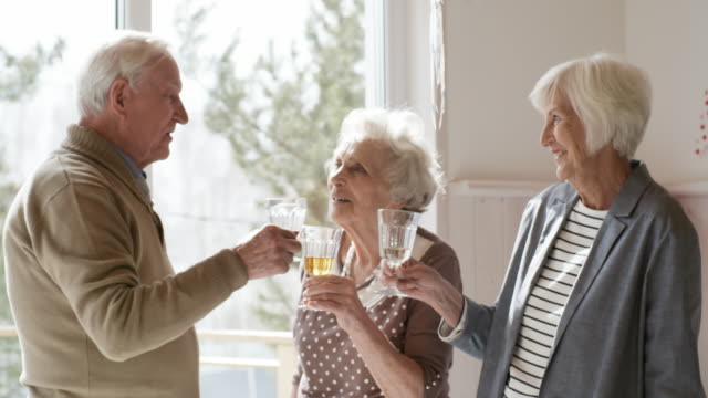 Senioren-Freunde-plaudern-und-trinken-Wein-auf-Party