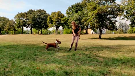Girl-tricking-her-dog-to-fetch-in-the-park