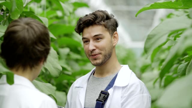 Closeup-of-cheerful-young-agricultural-engineer-laughing-while-talking-with-female-colleague-near-green-vegetable-plants-growing-in-commercial-greenhouse