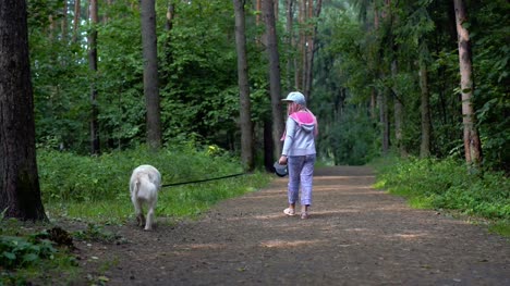 niña-se-hace-caminando-con-un-perro-en-el-bosque