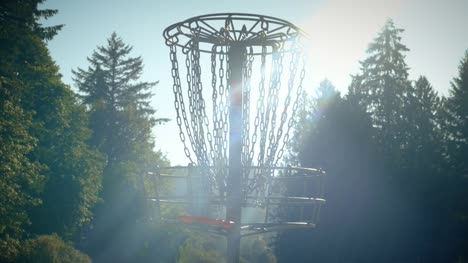 Sonnigen-Tag-Disc-Golf-Hintergrund-mit-Frisbee-in-Ketten