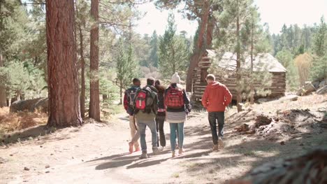 Seis-amigos-caminan-por-el-sendero-forestal-hacia-la-cabaña-de-troncos