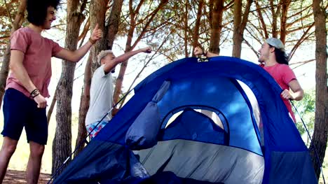 Freunde-geben-hohe-fünf-während-der-Vorbereitung-Zelt-im-Park-4k