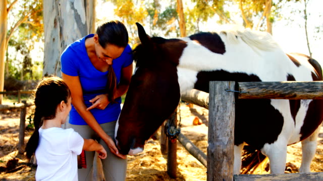 Mother-and-daughter-stroking-horse-in-ranch-4k