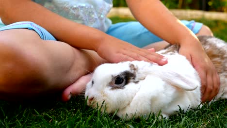 Kid-es-Hand-streicheln-flauschige-weiße-Kaninchen,-Nahaufnahme