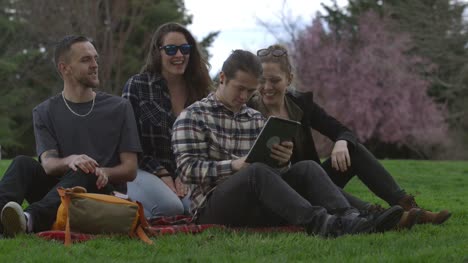 Gruppe-von-Jugendlichen-im-Park-auf-Decke-nehmen-Selfies-zusammen