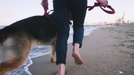 Mujer-joven-feliz-corriendo-y-jugando-con-su-perro-pastor-alemán-al-aire-libre-en-la-playa,-cercano-a-cámara-lenta