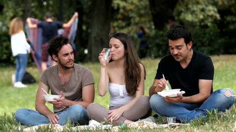 relaxed-friends-having-picnic-at-the-park