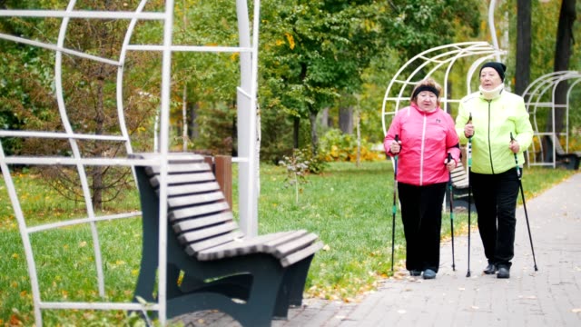Alte-Frauen-in-Jacken-zu-Fuß-auf-Bürgersteig-in-einem-herbstlichen-Park-während-der-skandinavischen-spazieren-und-sitzt-auf-der-Bank