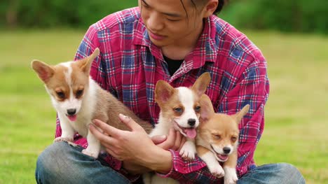 Happy-young-man-with-his-puppy-dog-outdoor,-4k