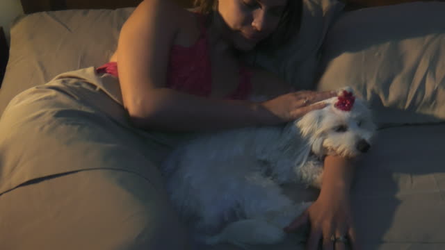 Mujer-acariciando-perros-durmiendo-en-la-noche