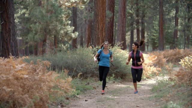 Zwei-junge-Frauen-Laufen-im-Wald