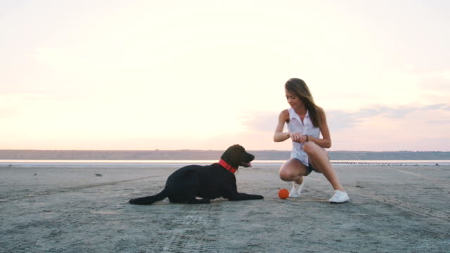 Joven-mujer-jugando-y-entrenando-perros-labrador-retriever-en-la-playa-al-atardecer
