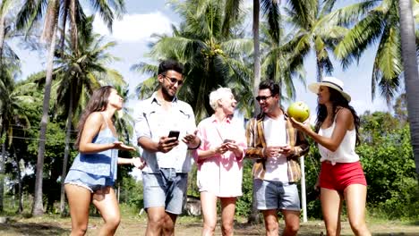 People-Group-Talking-Use-Cell-Smart-Phones-Walking-Outdoors-Under-Palm-Trees,-Happy-Smiling-Mix-Race-Man-And-Woman-Communication