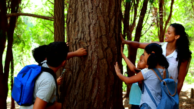 Frau-und-Kinder-untersuchen-Baumstamm-im-park