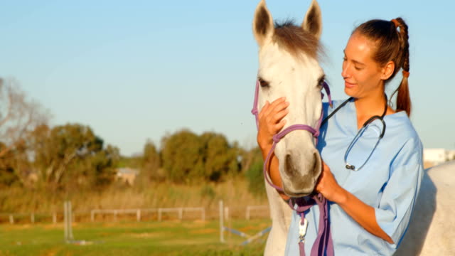 Médico-veterinario-permanente-con-caballo-4k