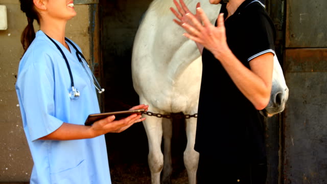 Tierarzt-und-Frau-Interaktion-während-der-Verwendung-von-digital-Tablette-4k